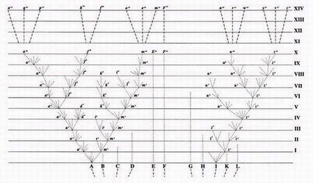 Branching diagram that appeared in Charles Darwin's _On the origin of species_, illustrating the idea that new species form from pre-existing species in a branching process that occurs over extended periods of time.