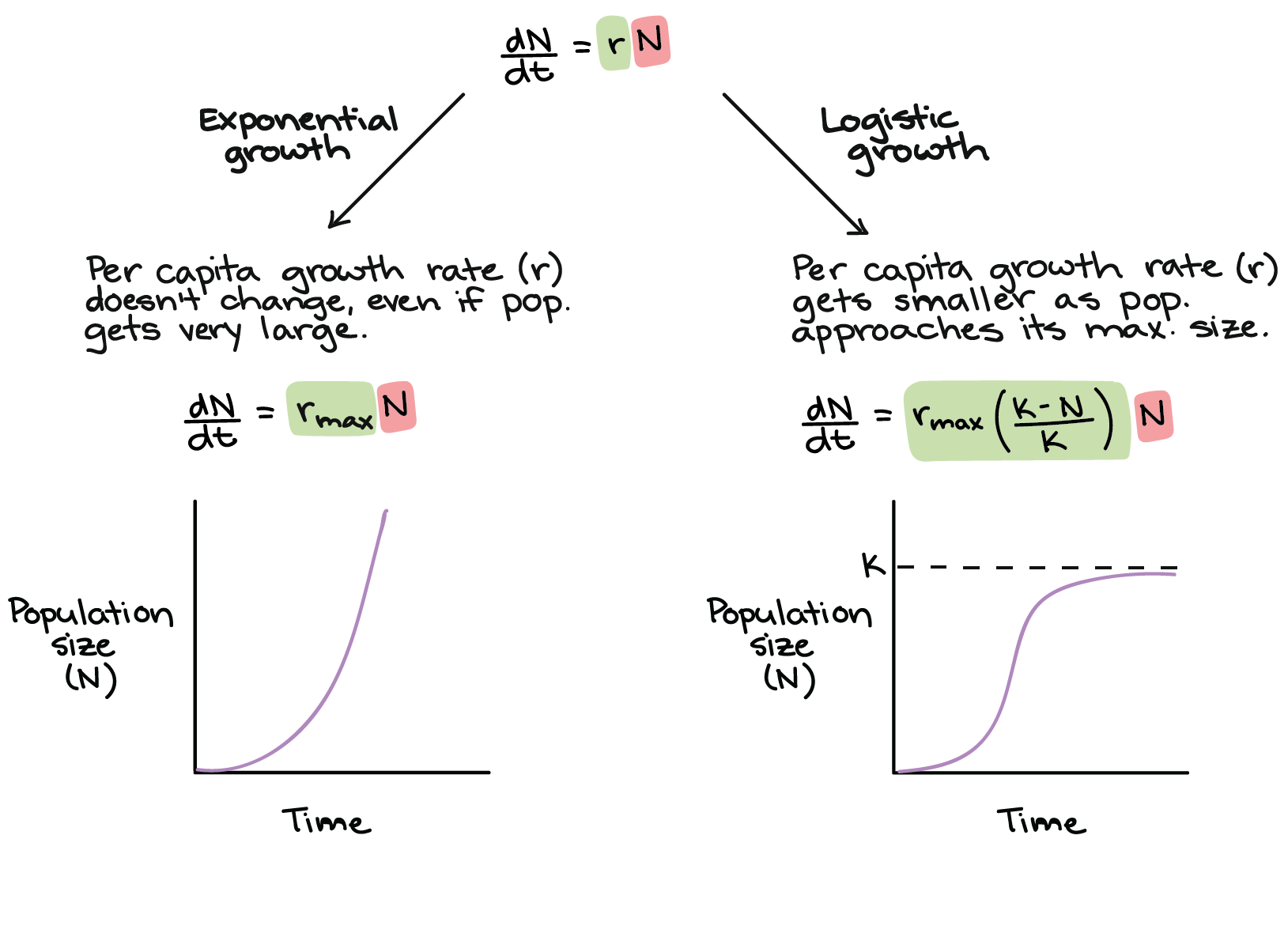 Ap Biology Formula Chart