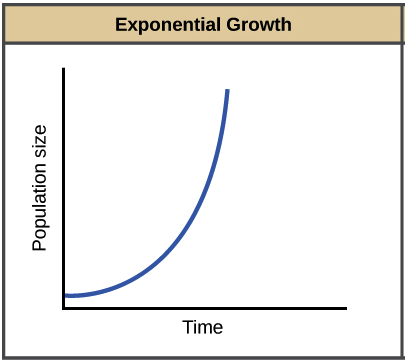 exponential definition