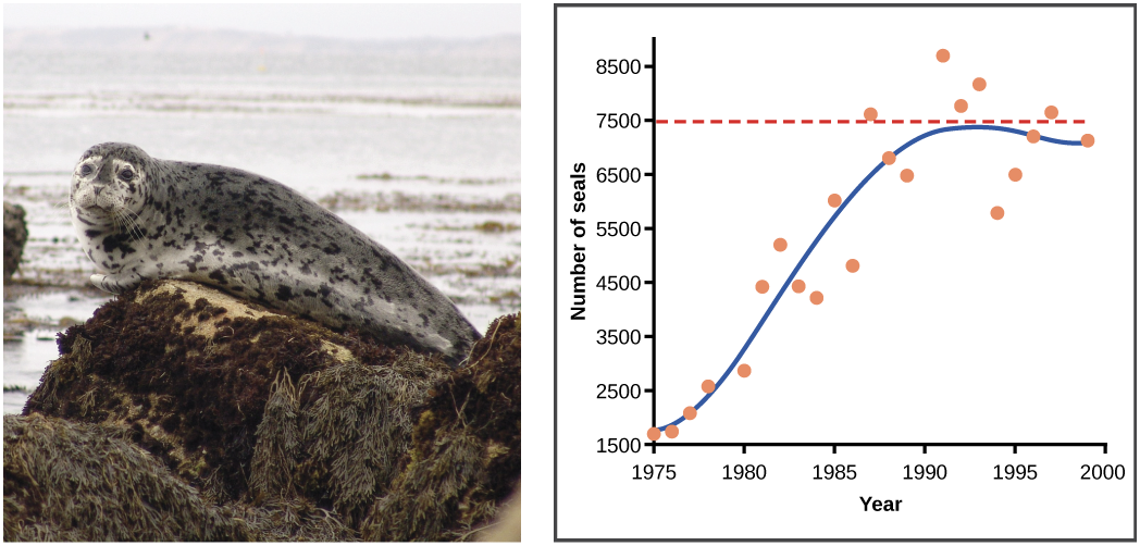 What are some real-life examples of exponential growth?